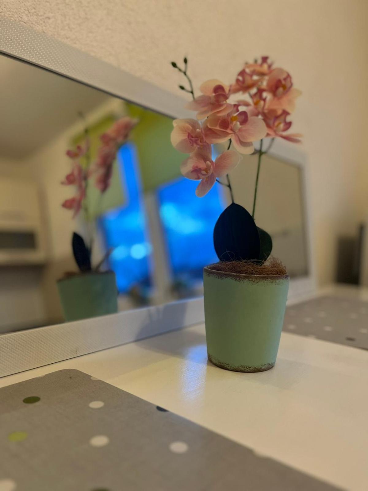Lovely Apartment In Old Town 400M From City Center Sebilj SJJ Eksteriør billede