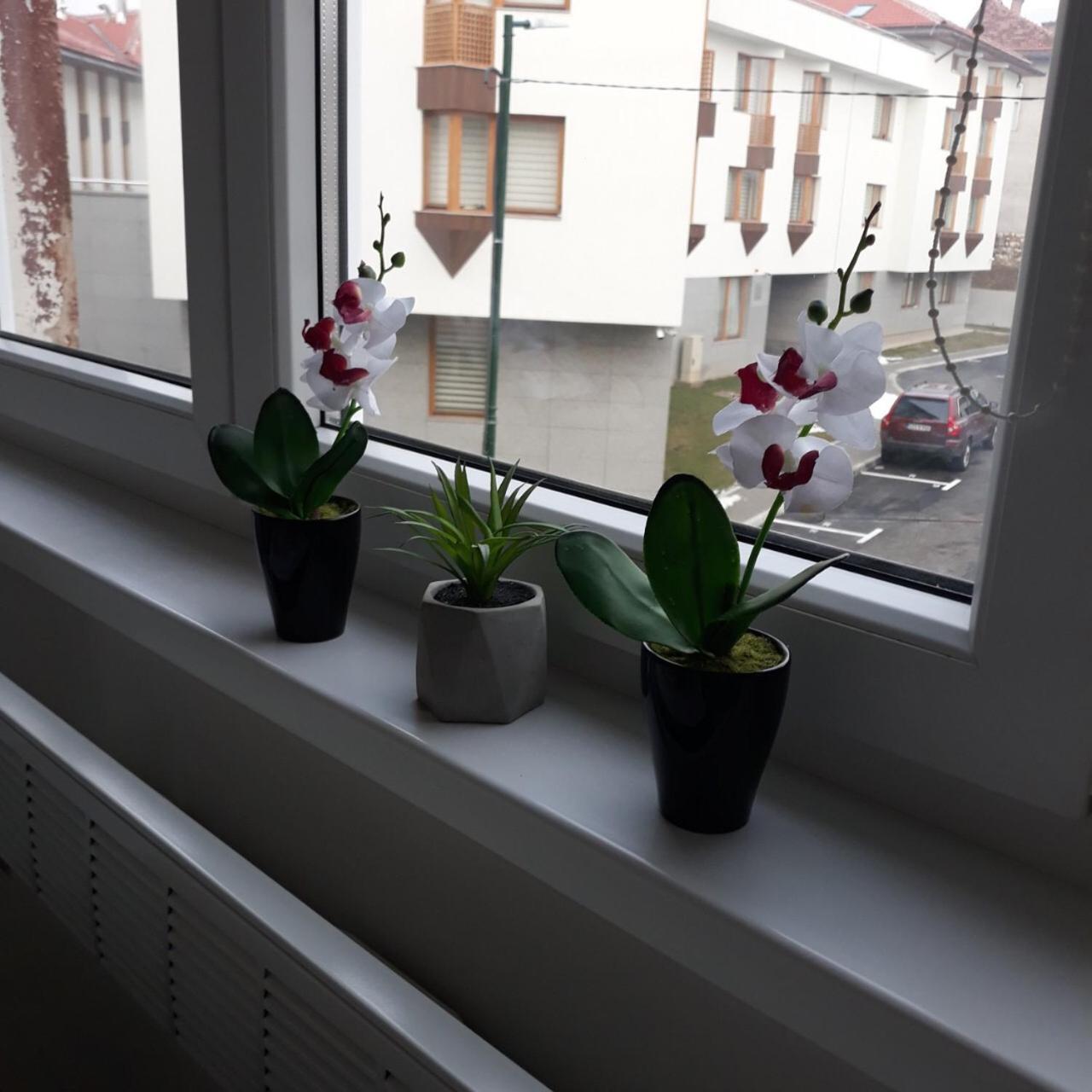 Lovely Apartment In Old Town 400M From City Center Sebilj SJJ Eksteriør billede
